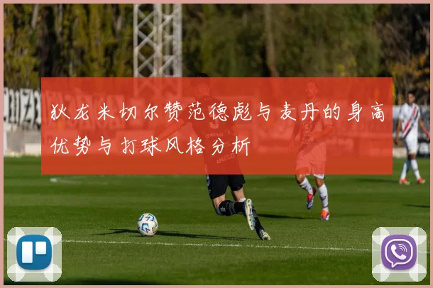 狄龙米切尔赞范德彪与麦丹的身高优势与打球风格分析