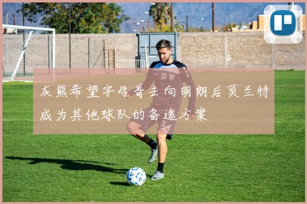 灰熊希望字母哥去向明朗后莫兰特成为其他球队的备选方案