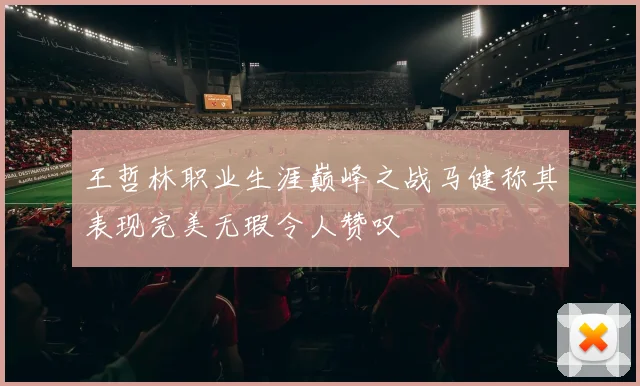 王哲林职业生涯巅峰之战马健称其表现完美无瑕令人赞叹