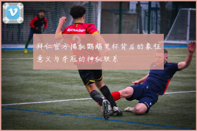 拜仁官方揭秘鹦鹉奖杯背后的象征意义与夺冠的神秘联系